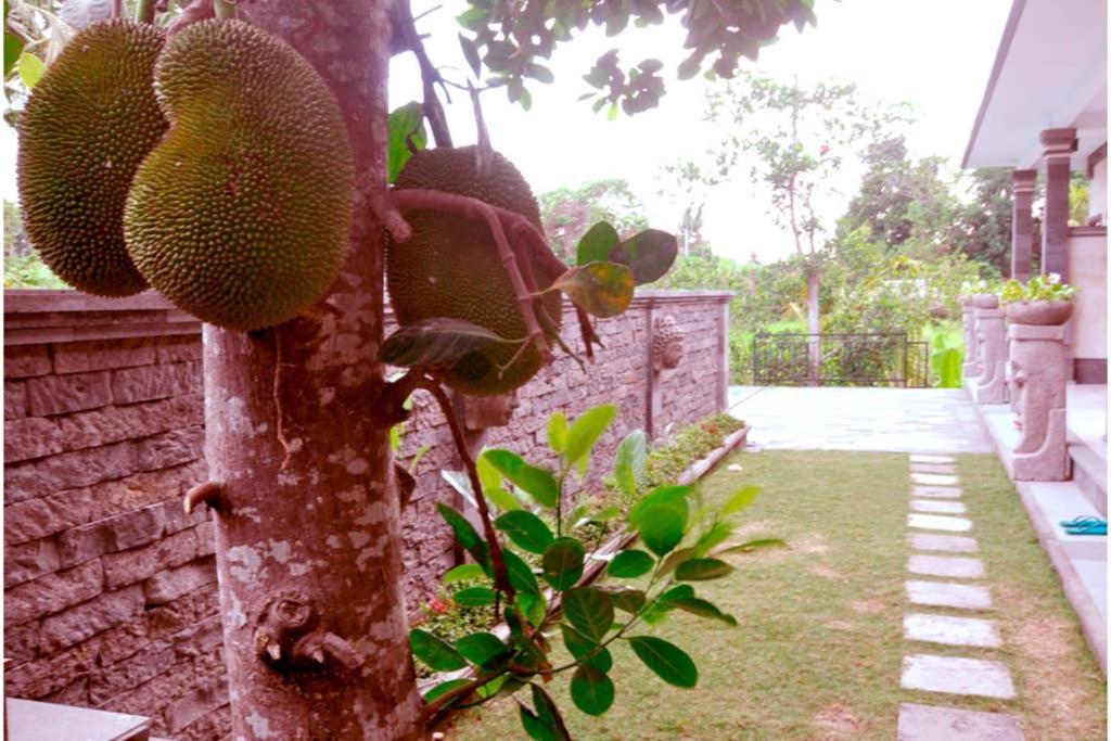 The Lod Villa Ubud Dış mekan fotoğraf